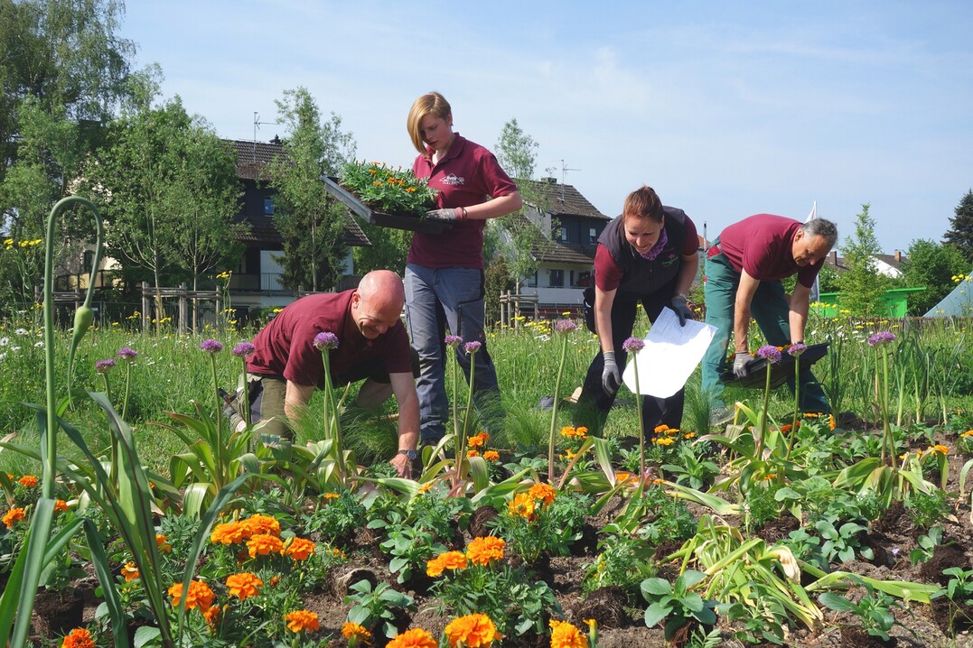 Die Teams der Gärtnereien Albert und Roth auf der Gartenschau.