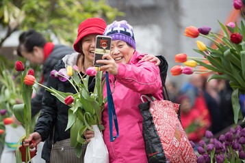 Der Nationale Tulpentag ist ein Fest fr alle Amsterdamer und Touristen.
