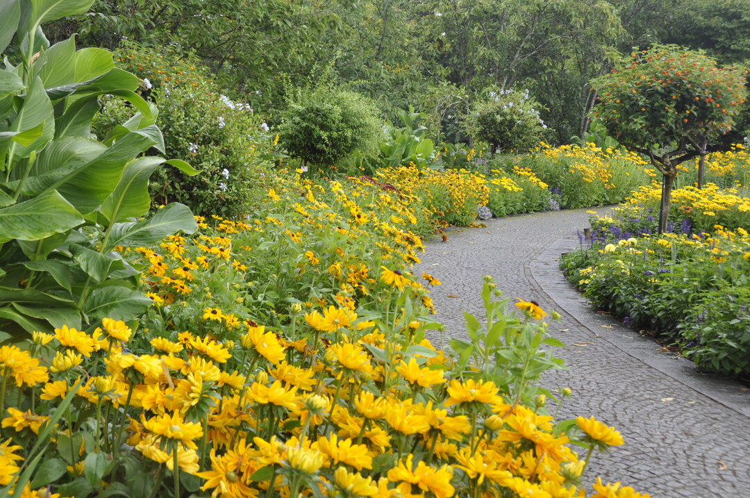 Blumeninsel Mainau, Deutschland