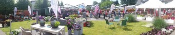 Beispielhaft fr die vielen aufwendigen Pflanzen-Prsentationen der Zchter auf den Flower Trials war die Ausstellung der dmmen group in Rheinberg in der Ausstellungsregion Rheinland-Westfalen.