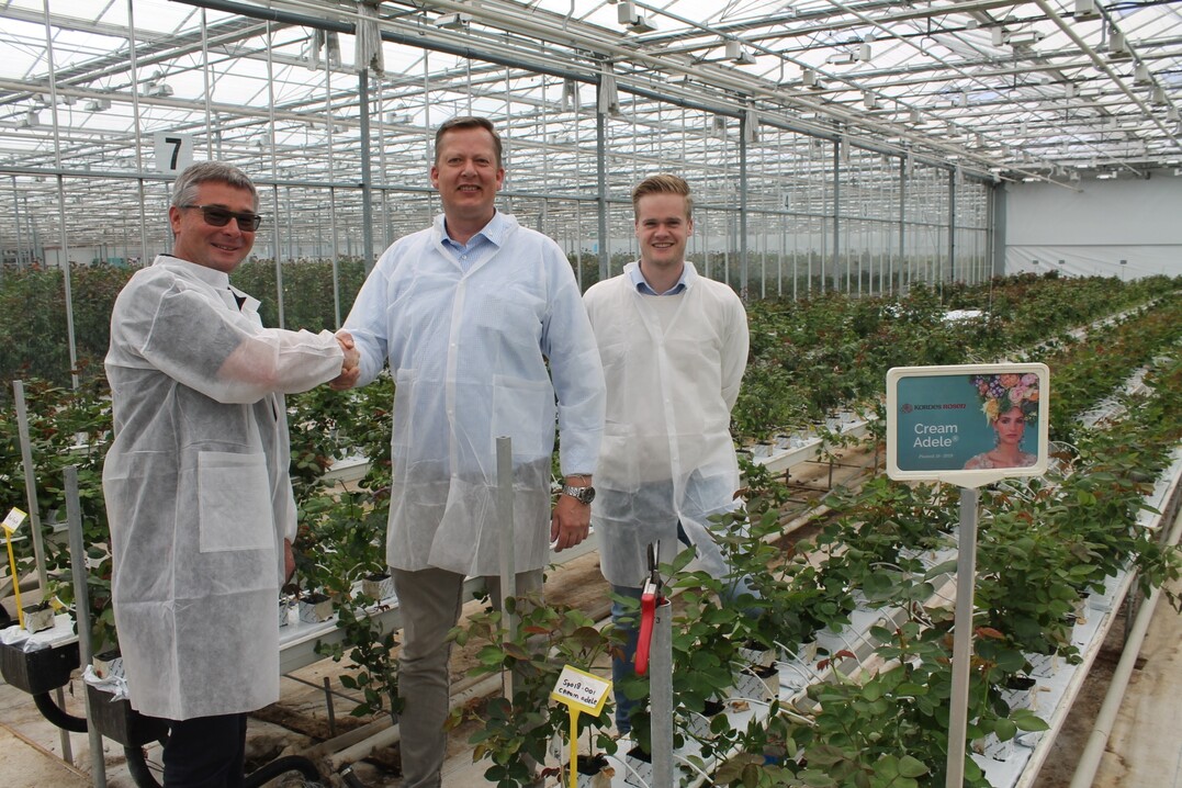 Die Vereinbarung wurde am 28. Mai von Philippe Veys (IPT Leader Cut Flower, Dmmen Orange), Koen Stigter (Junior Produktmanager Rosen, Dmmen Orange) und Gran Basjes (Sales/Area Manager Cut Roses Europe, Russia, Ukraine, Iran, Kordes Rosen) unterzeichnet. 