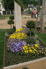 Bodendecker: Cotoneaster dammeri "Frieders Evergreen", Euonymus fortunei "Emerald Gaiety", Rahmenbepflanzung: Pinus mugo "Mops"
Gärtnerei Florens Jehmlich, Olbernhau + Steimetz- und Bildhauermeister Forbrig, Chemnitz