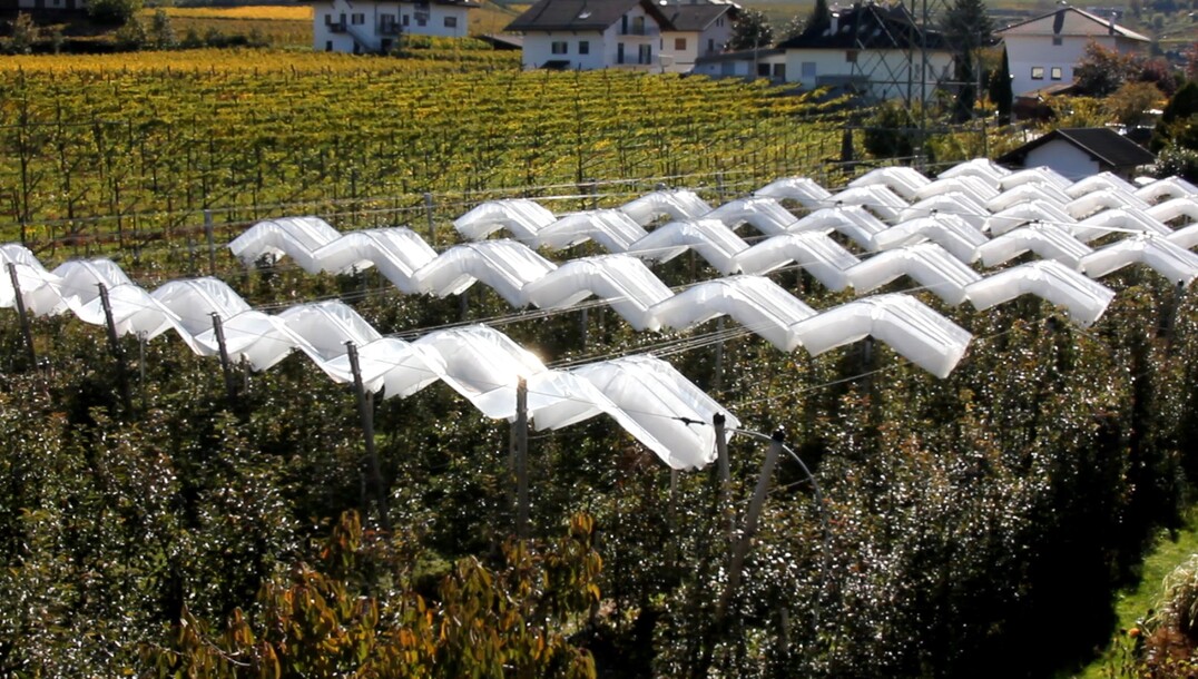 Spannende Neuentwicklung bei Lock ist diese autarke Systemlsung fr den geschtzten Freilandanbau. Bietet Schutz vor Witterungseinflssen wie Hagel, Frost, Regen und Sonne sowie Abdriftschutz fr das Ausbringen von Pestiziden. 
