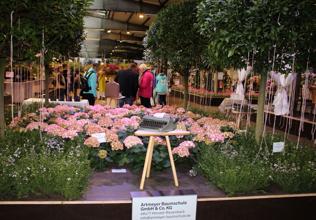 Einen Ehrenpreis des Landesverbands Gartenbau NRW  vergab die Jury an die Artmeyer Baumschule GmbH & Co. KG aus Hrstel Riesenbeck.