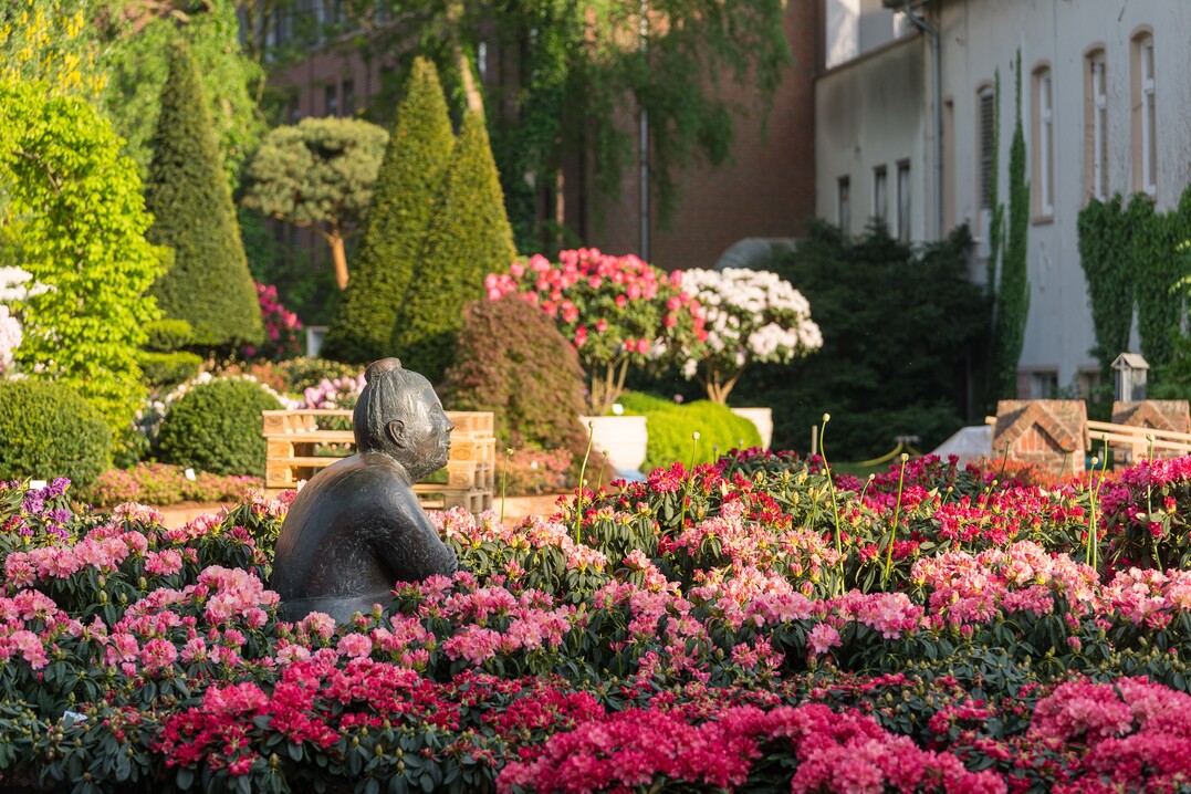 Der Marktplatz in der Innenstadt ist ein Mittelpunkt der "Rhodo 2023"