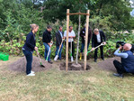 Einheitsbuddel2022 Start SH mit MP Günther2.jpg: Pflanzten eine, Amberbaum (Liquidambar) als Klimawandelbaum v.r. Ministerpräsident Daniel Günther, Eugen Witte (1. Vorsitzender Einheitsbuddeln e.V.), Dr. Frank Schoppa (2. Vorsitzender Einheitsbuddeln e.V.), Oliver Rumpf (Präsidiumsmittglied Fachverband Garten-, Landschafts- und Sportplatzbau S-H e.V.), Thorsten Krohn (Vorstand Landesverband SH Bund dt. Baumschulen e.V.) sowie Petra Holtappel (Stadt Kiel).