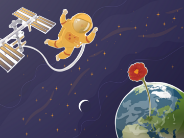 An der Aktion Graines d"Eklo sind 850 Freiwillige beteiligt Samen von Tagestes patula, auch franzsische Ringelblume genannt, anzubauen, whrend ein franzsischer Astronaut im Weltraum sein Experiment durchfhrt. 