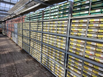 Der Artenreichtum auf den Kulturflchen spiegelt sich bei einigen Staudengrtnereien auch im Umfang des Etikettenlagers wider.
