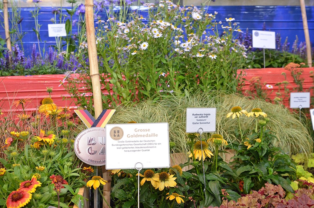 Die Groe Goldmedaille der DBG fr ein breit gefchertes Staudensortiment in herausragender Qualitt erhlt Gartenbau Rieckhoff aus Rogtz.
