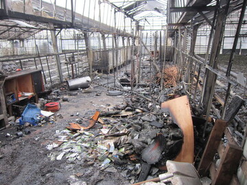 Ausgehend von einer in Brand geratenen Assimilationslampe verbreitete sich das Feuer ber leicht entflammbare (B3-) Schirme ber mehrere Gewchshuser und richtete betrchtlichen Schaden an. 