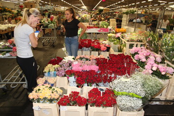 Einen vielversprechenden Absatzmarkt sehen viele in Osteuropa, das Bild stammt vom Blumengromarkt in Budapest.