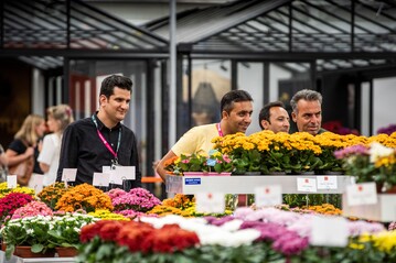 Die FlowerTrials sind das Topereignis fr alle, die mit Beet- und Balkonpflanzen ihr Geld verdienen.