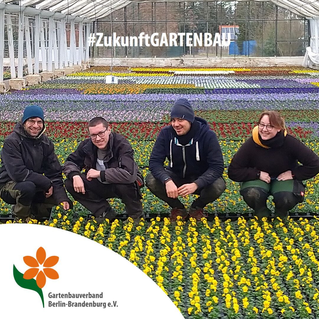 Die Fontana Gartenbau GmbH beschftigt derzeit 24 Mitarbeiter und hat sich in den letzten Jahren engagiert um Auszubildene gekmmert. Derzeit gibt es in dem Betrieb drei Auszubildene, zwei im Gemsebau und ein Auszubildender im Zierpflanzenbau. Der reine Unterglas-Betrieb produziert in modernen Gewchshusern auf rund 1,6 Hektar Zierpflanzen und Gemse (Tomaten und Gurken) und dies besonders umweltbewusst und nachhaltig.