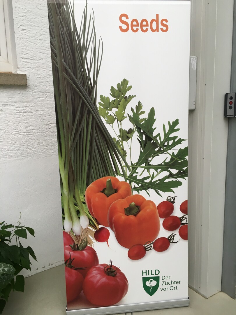 Besuch bei der Hild Samen GmbH