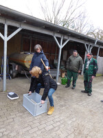Denise Wilke beim Heben einer Kiste mit geradem Rücken. Sie zeigt dabei die richtige Beinhaltung, das heißt: auseinander stehend, Knie nicht über die Fußspitzen, Kraft aus den Beinen heraus zum Heben nutzen.