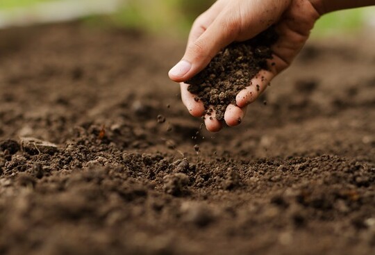 Soilwise hat sich auf innovative biobasierte Produkte konzentriert spezialisiert, die die Gesundheit und Artenvielfalt des Bodens verbessern.   
