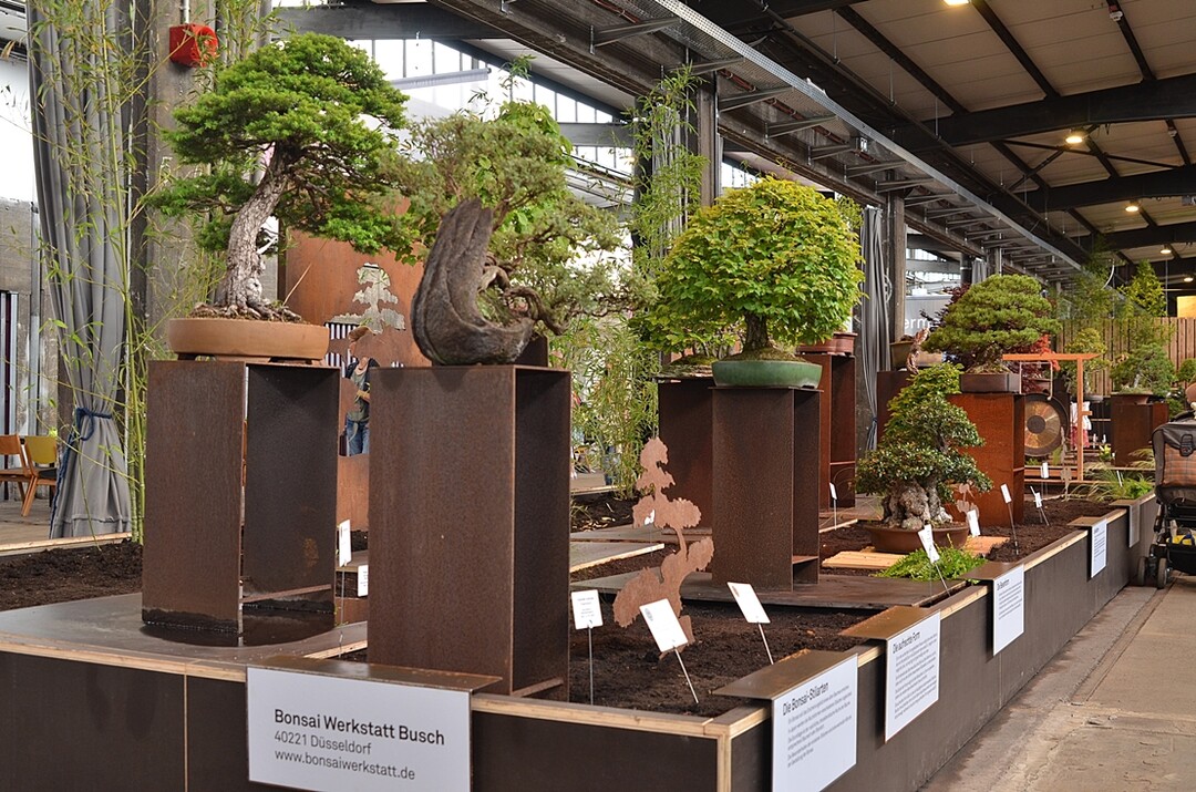 Die Bonsai-Werkstatt Busch aus Dsseldorf erhielt vom Preisgericht 24 Gold-, acht Silber- und eine Bronzemedaille sowie zwei Groe Goldmedaillen der Deutschen Bundesgartenschau Gesellschaft fr ihr auergewhnliches Sortiment in bester Qualitt und die informativen Beitrge fr den Besucher