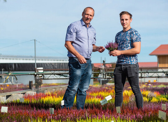  Helmut (links) und Lorenz Hiedl wollen 
der altbekannten Erica mit neuen Sorten 
auch neuen Schwung geben.