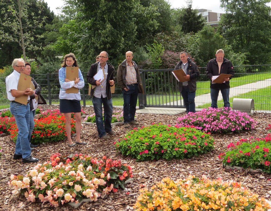 Beim Rundgang ber die Versuchsflchen gab es viele interessante Anpflanzungen zu sehen, die vielleicht bald auch auf dem Friedhof Verwendung finden.