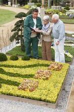 Die bundesweit agierenden Treuhandstellen für Dauergrabpflege und Friedhofsgärtner- Genossenschaften haben sich in der GdF zusammengeschlossen. Sie verwalten rund 223.000 Dauergrabpflege-Verträge, die von rund 4.000 qualifizierten Vertragsgärtnern ausgeführt werden.