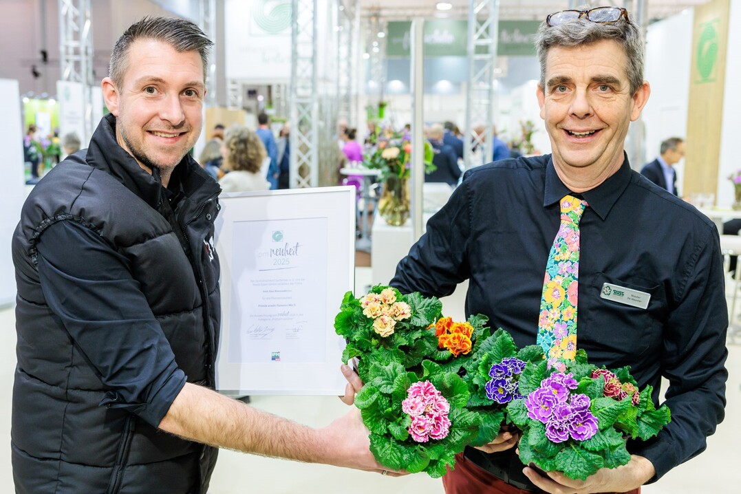 In the "Spring-flowering plants" category, the expert committee chose Primula acaulis Flamenco Mix F1 from Rudy Raes Bloemzaden n.v. from Destelbergen in Belgium.
