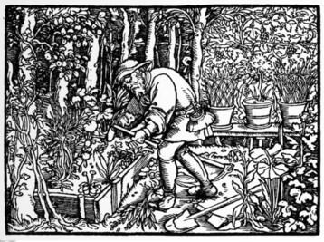 Grtner vor Gartenbeet: Holzschnitt n. Hans Weiditz d. J. 1557, Original: Staatl. Museen zu Berlin, Kunstbibliothek