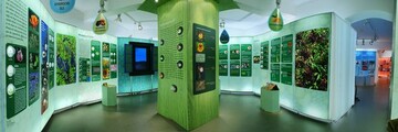 Kruter, Drogen und Extrakte  Pflanzenwirkstoffe im Alltag heit eine Ausstellung im
Deutschen Gartenbaumuseum Erfurt. 