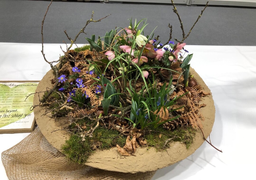 Der 1. Platz beim IPM Messe-Cup in der Kategorie "Gefpflanzung" ging an Sina Krger, Azubildene bei der Grterei Schlter in Bad Oeyenhausen.