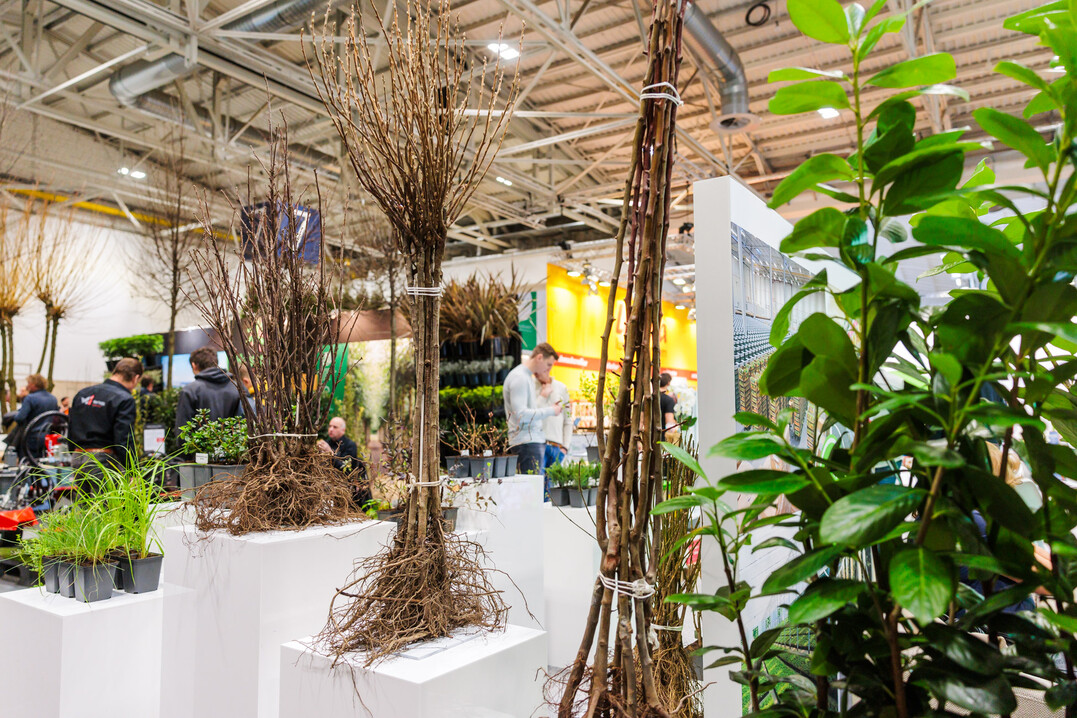 Located at the heart of the nursery sector in Hall 7, the new arena offers trade visitors a unique platform.