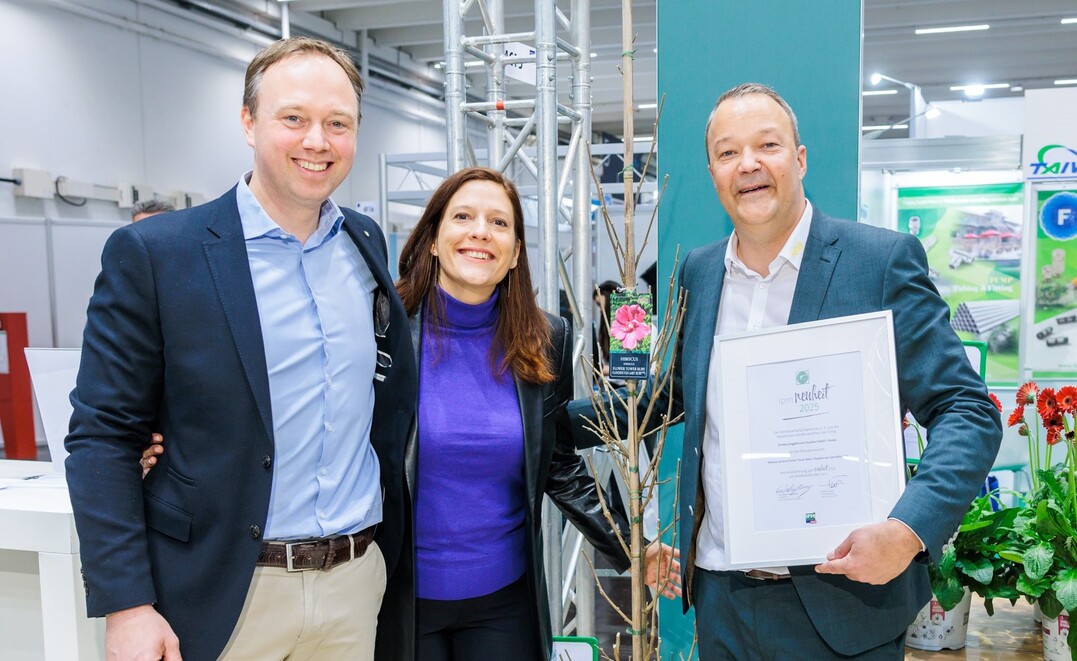 In the "Woody Plants" category, the expert committee chose Cornus kousa Flower Tower from Diderk Heinje Pflanzenhandelsg.mbH & Co. KG from Edewecht as the "IPM Novelty 2025".
