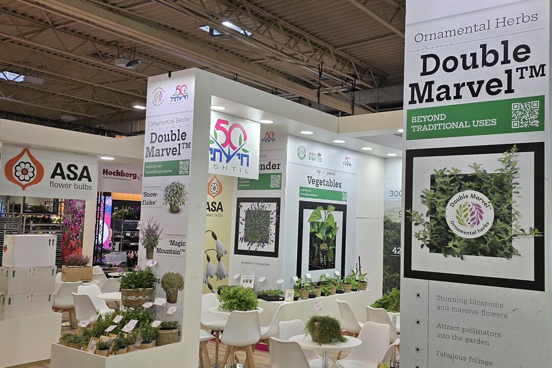 Hishtil is one of the long-standing IPM exhibitors at the Israeli joint stand.