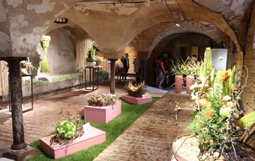 Ein ehemaliger Kuhstall am Rande der Altstadt von Balingen ist der Veranstaltungsort der floristischen Ausstellungen.