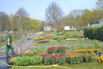 Insgesamt 73.000 Pflanzen haben neun hessische Gartenbetriebe fr die Frhjahrsbepflanzung in Gieen nun geliefert. 