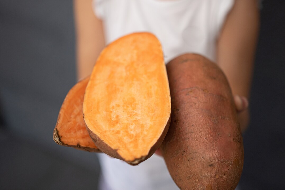 Die slichen Knollen lassen sich vielseitig verarbeiten, sowohl als Pommes, Chips oder Pree, schmecken sie nicht nur Kindern.