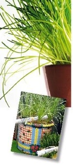 Zum Landliebetrend gehört auf jeden Fall der Küchenkult – und hierzu können Gärtner schon mit kreativen Kräutertöpfen eine Menge beitragen