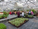 In einem Gewächshausabteil erläutert eine Mitarbeiterin der Überbetrieblichen Ausbildungsstätte den Schülern die Aufgaben bei der Produktion von Topfpflanzen.