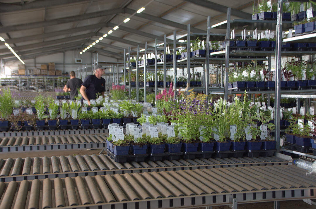 Wassenaar Perennial Company: Automatisierter innerbetrieblicher Transport