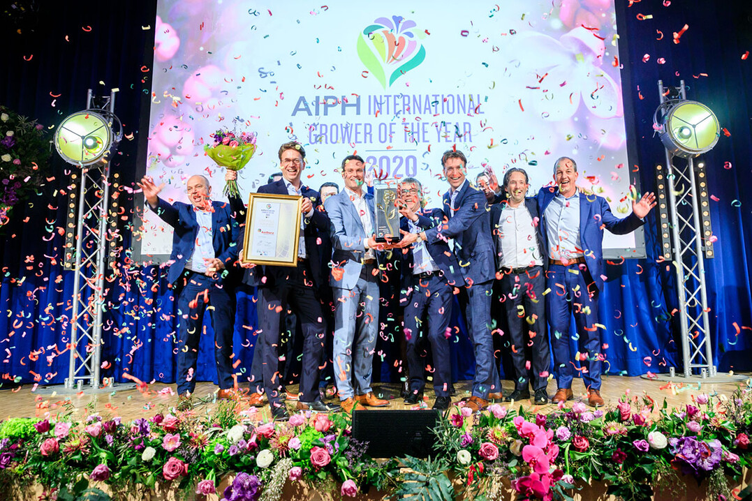 Anthura, Niederlande, wurde vom Internationalen Verband der Gartenbau-Produzenten (AIPH) als Internationaler Anbauer des Jahres 2020 (IGOTY) ausgezeichnet.