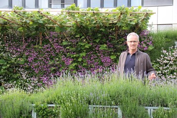 Grnes Zimmer Ludwigsburg mit Hans Mller, Helix Pflanzen
