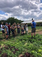 Der Gemüsebaubetrieb Kirsch baut seit über vier Generationen das als Lëtzebuerger Geméis bekannte Gemüse in Luxembourg an.