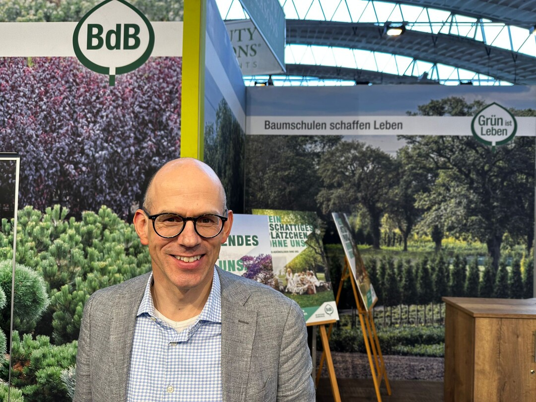 Wir brauchen groe Bume fr die Stdte, fordert Markus Guhl, Hauptgeschftsfhrer des Bundes deutscher Baumschulen.