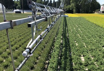 Eine ausreichende Bewsserung wird im Sommer nur noch mglich sein, wenn der Gartenbau seine Wasserspeicherkapazitten deutlich erhht.