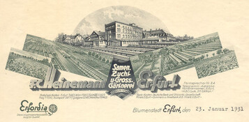 Briefkopf der Firma Heinemann. 
