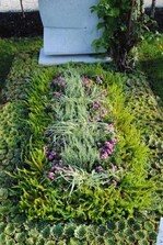 Ein Meer aus Hauswurzen und inmitten ein
Polster aus hellgrüner Krähenbeere, Gaultheria
mit rosa Beeren, weißer Erica und weißbuntem Gras
schuf die Gärtnerei Ziegltrum aus Vaterstetten.