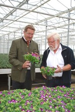 Heinrich Hiep informiert Dr. Kloos über eine Torenien-Sorte, die in Kevelaer als blühende Topfpflanze angebaut wird.