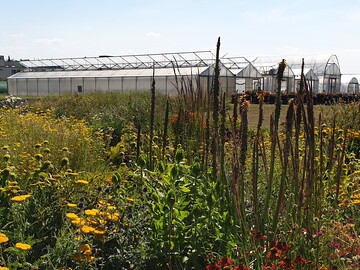 Der Hohenheimer Gartenbautag am 30. Juni findet statt, das Gelnde lsst die Einhaltung von Abstandsregelungen ohne weiteres zu
