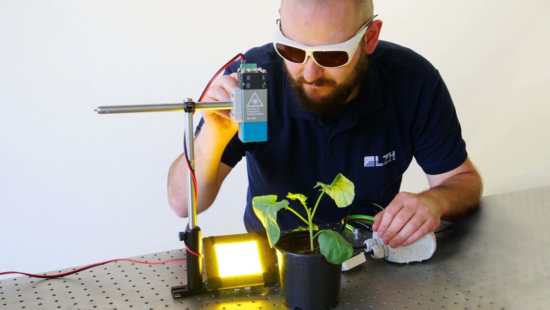 Eine LED-Laser-Kombifalle soll Pflanzen im Gewächshaus vor Schädlingen schützen.