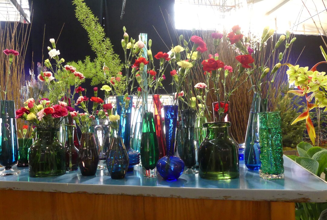 Ehrenpreis der Landwirtschaftskammer Nordrhein-Westfalen fr Dianthus in hervorragender Schnittblumenqualitt.