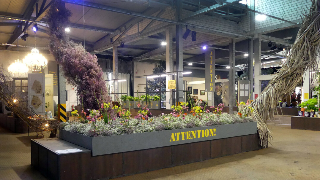 Impressionen der Hallenschau Attention bei der BUGA Mannheim 2023.