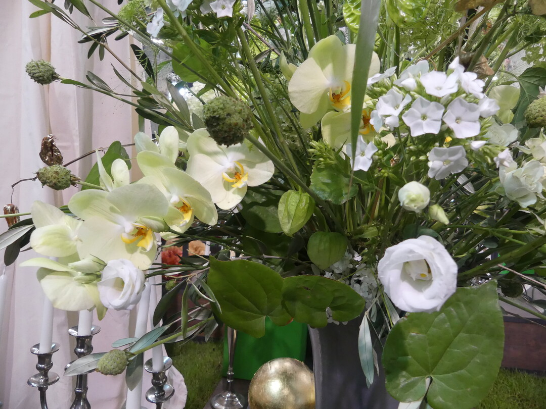 Deutsche Bundesgartenschau-Gesellschaft